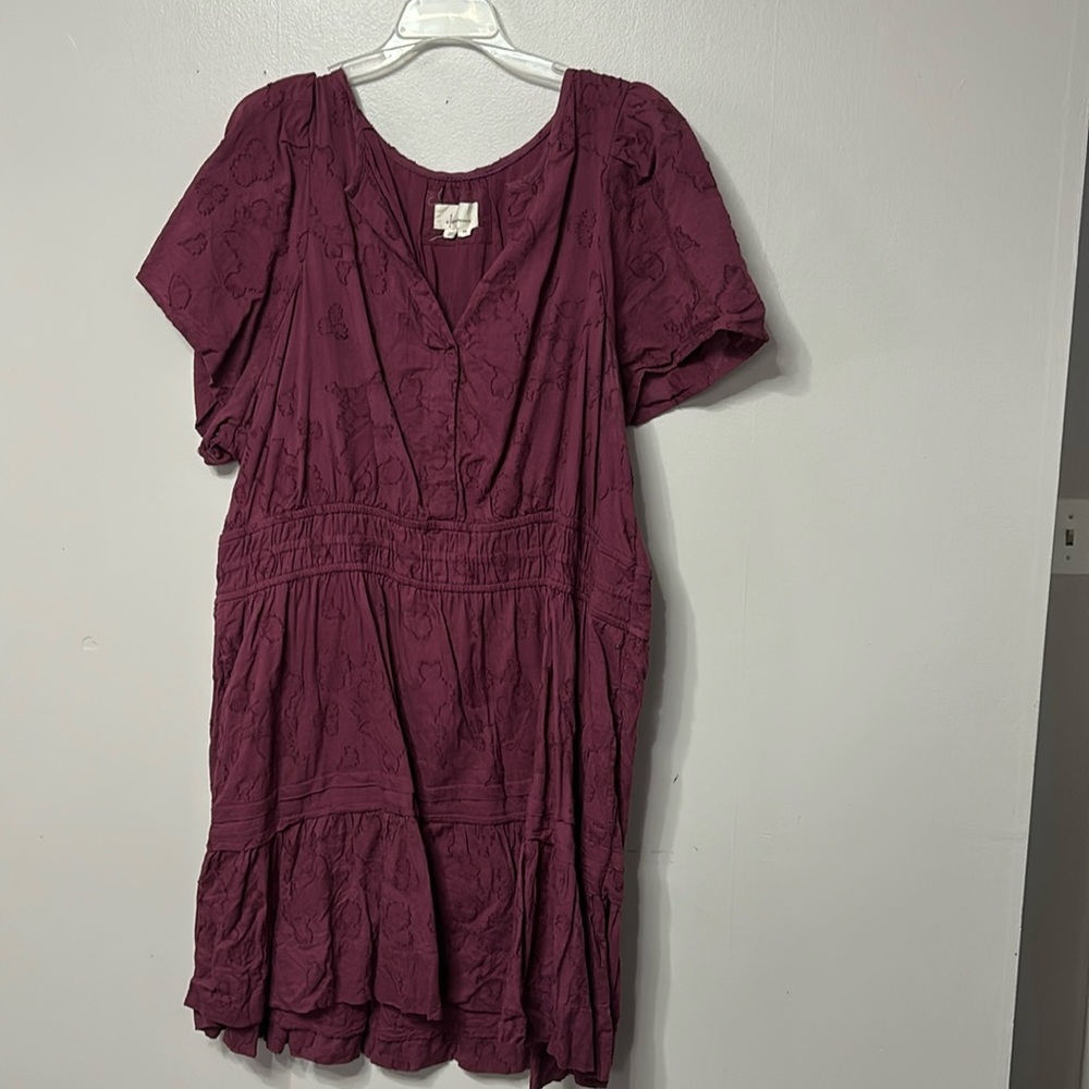Anthropologie Somerset Lace Mini Dress with pockets 2X